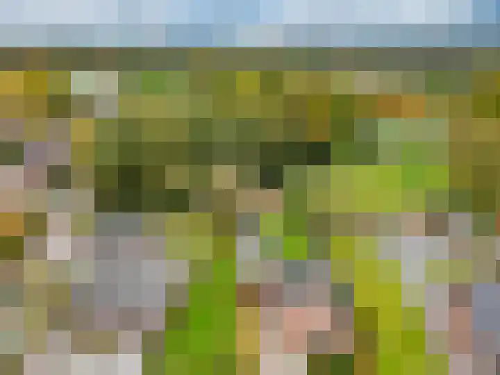 Oude Heerweg 33 Blitterswijck thumbnail 5