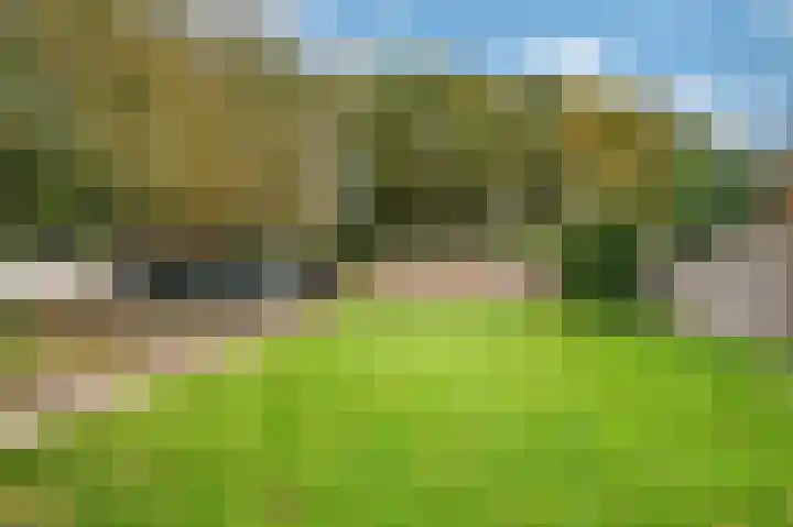 Oude Heerweg 33 Blitterswijck thumbnail 6
