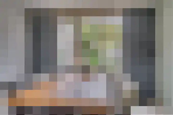Oude Heerweg 33 Blitterswijck thumbnail 7
