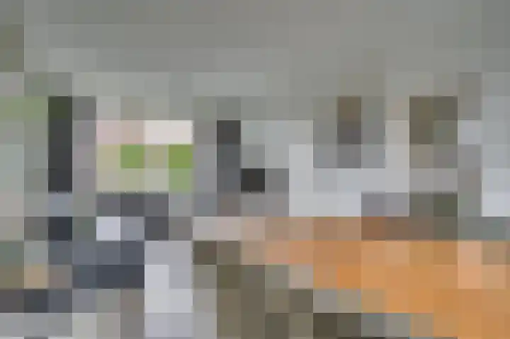 Oude Heerweg 33 Blitterswijck thumbnail 8
