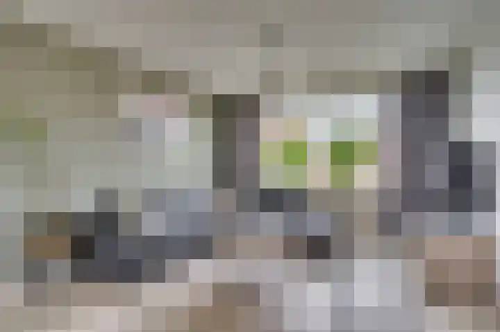 Oude Heerweg 33 Blitterswijck thumbnail 9