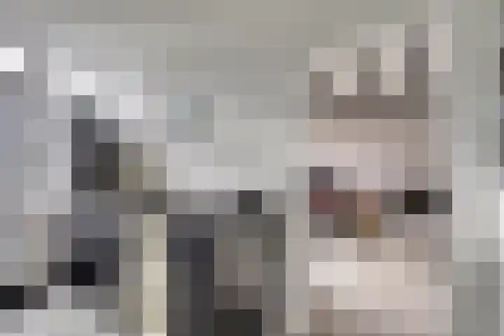 Oude Heerweg 43 Velden thumbnail 12