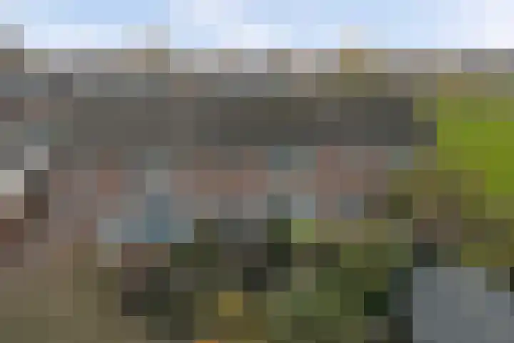 Oude Heerweg 43 Velden thumbnail 28