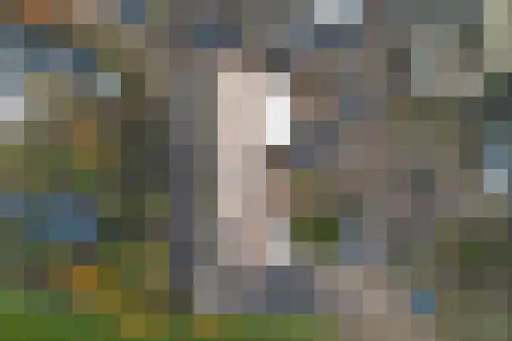 Oude Heerweg 43 Velden thumbnail 32