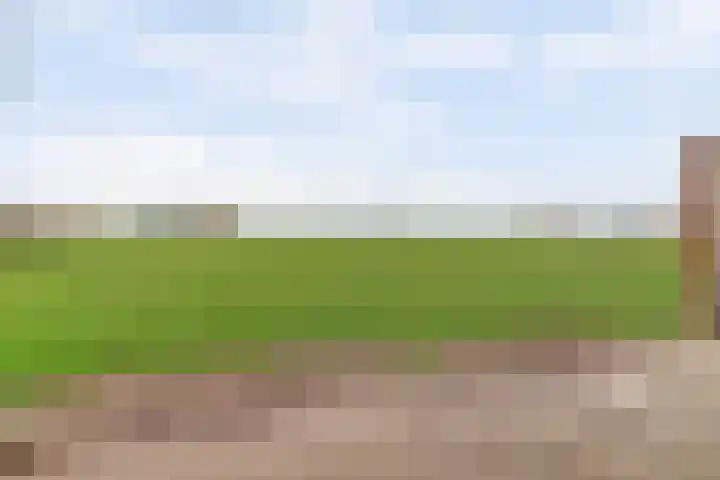 Oude Heerweg 43 Velden thumbnail 33