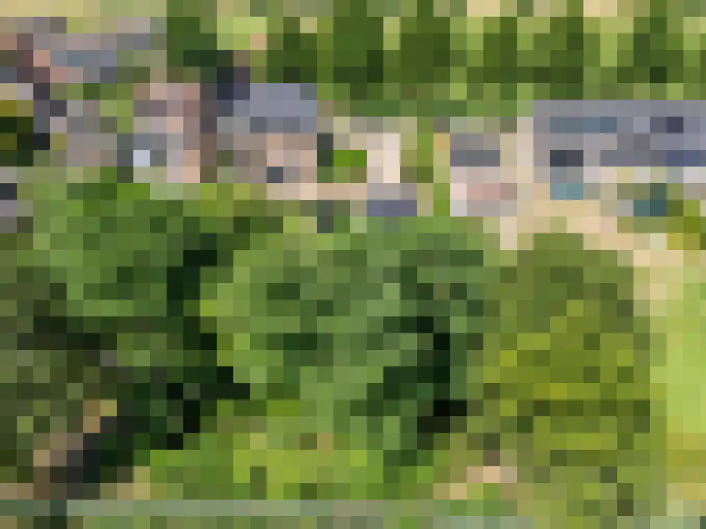Oude Heerweg 64 Velden thumbnail 4