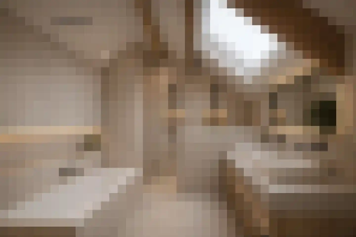 Oude Heerweg 64 Velden thumbnail 43