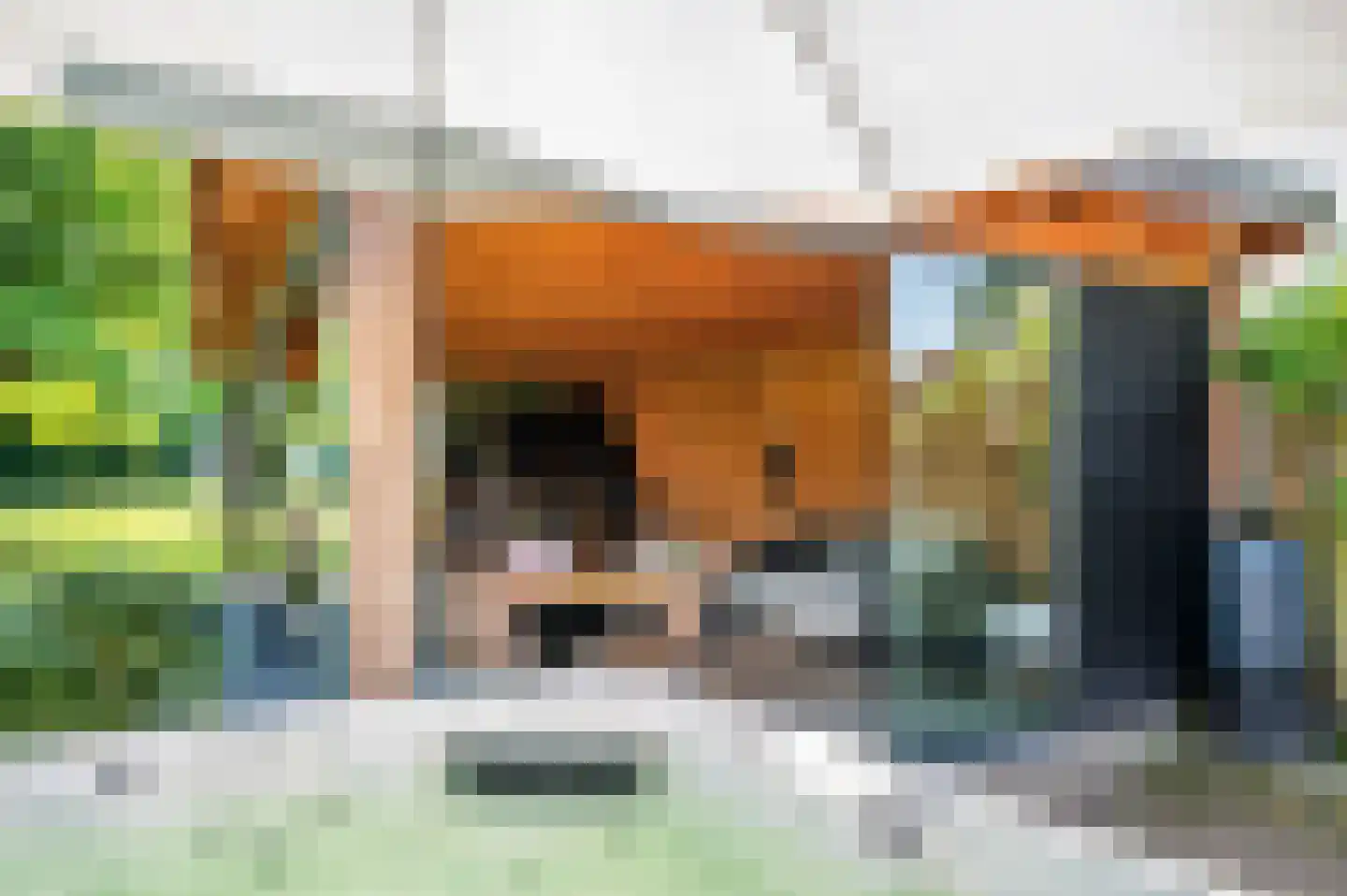 Oude Heerweg 64 Velden thumbnail 55
