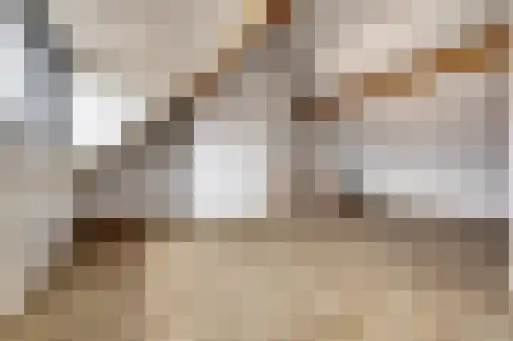 Oude Heerweg 9 Blitterswijck thumbnail 16