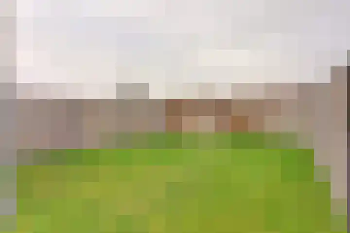 Oude Heerweg 9 Blitterswijck thumbnail 19