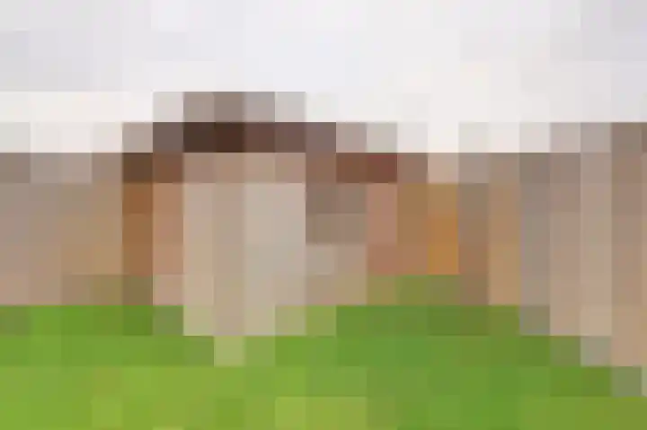Oude Heerweg 9 Blitterswijck thumbnail 21