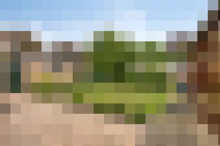 Oude Heide 3 Landgraaf thumbnail 30
