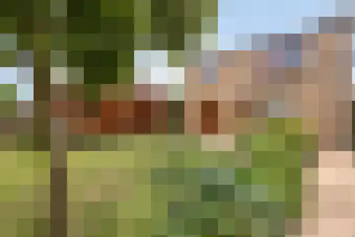 Oude Heide 3 Landgraaf thumbnail 32
