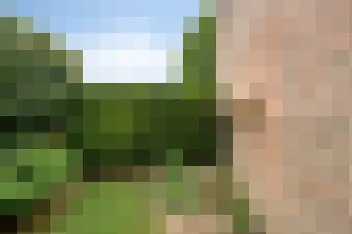 Oude Heide 3 Landgraaf thumbnail 34