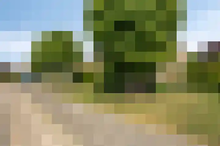 Oude Heide 3 Landgraaf thumbnail 36