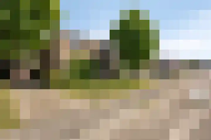 Oude Heide 3 Landgraaf thumbnail 37