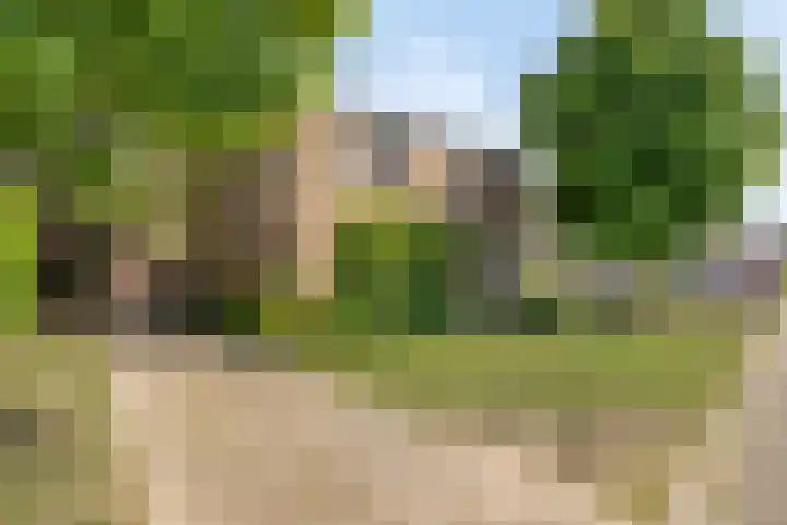 Oude Heide 3 Landgraaf thumbnail 44
