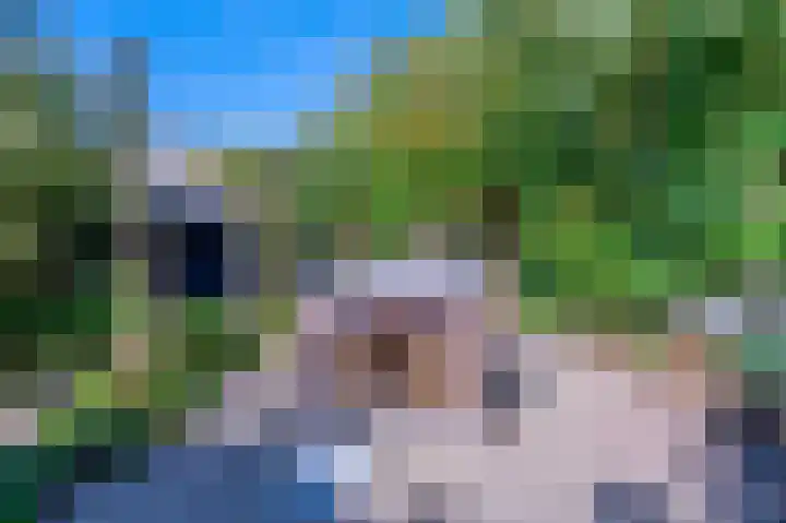 Oude Heijningsedijk 143 Heijningen thumbnail 22