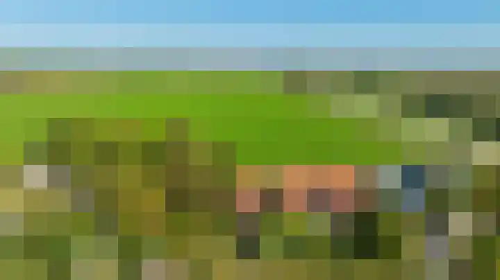 Oude Heijningsedijk 143 Heijningen thumbnail 30