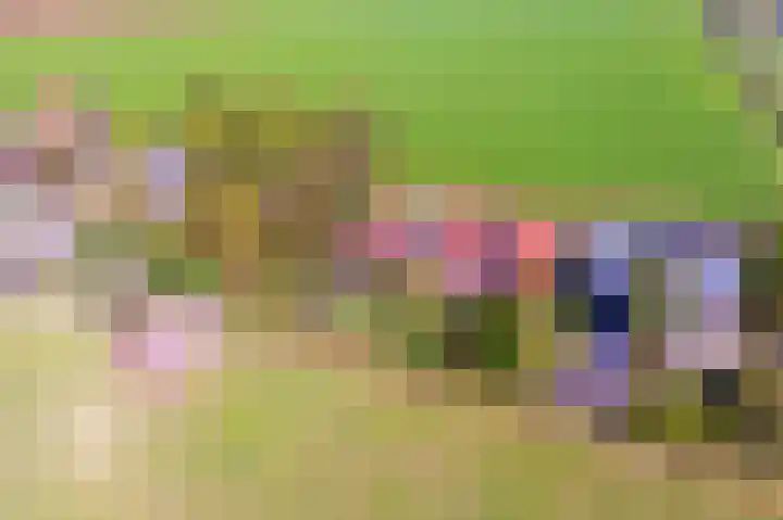 Oude Heijningsedijk 143 Heijningen thumbnail 4
