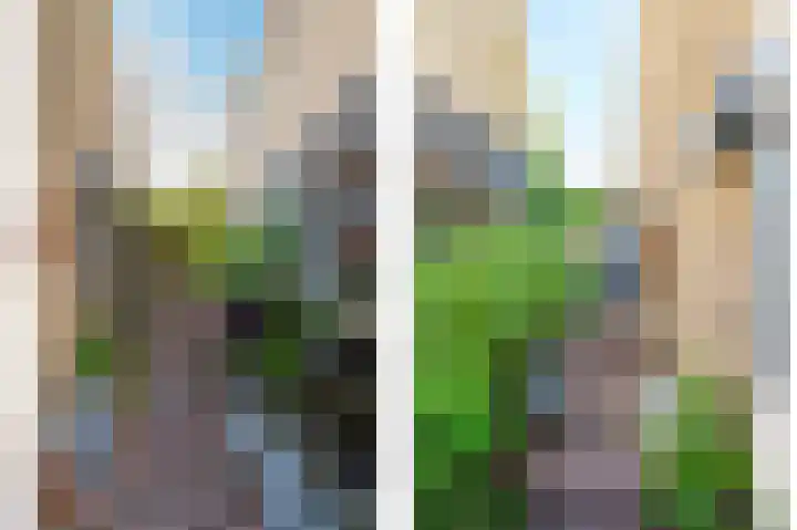 Oude Heijningsedijk 143 Heijningen thumbnail 7