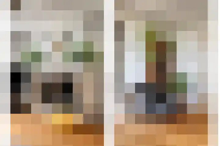 Oude Heijningsedijk 155 Heijningen thumbnail 11