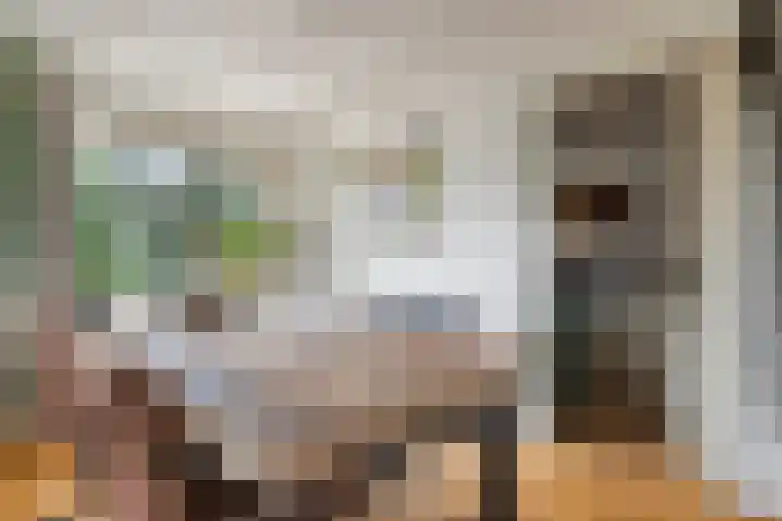 Oude Heijningsedijk 155 Heijningen thumbnail 13