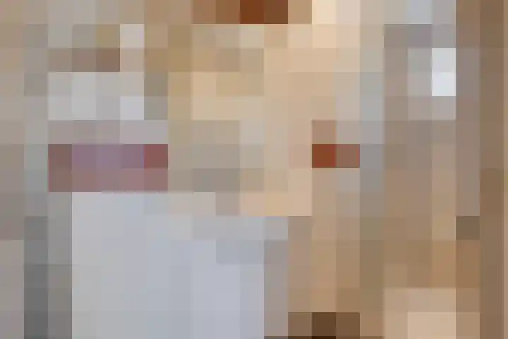 Oude Heijningsedijk 155 Heijningen thumbnail 19