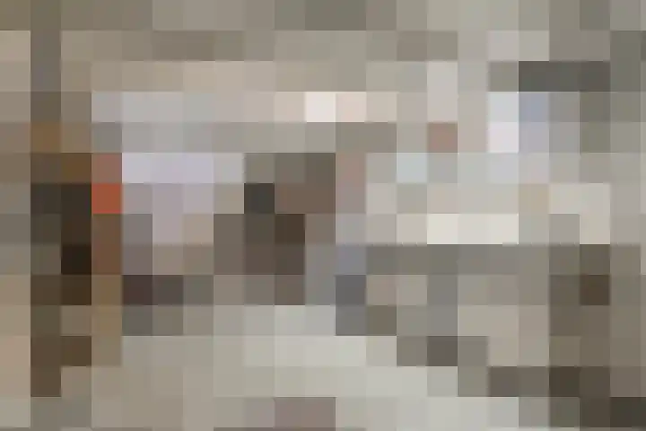 Oude Heijningsedijk 155 Heijningen thumbnail 28