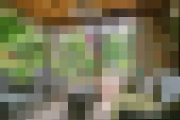 Oude Heijningsedijk 155 Heijningen thumbnail 30
