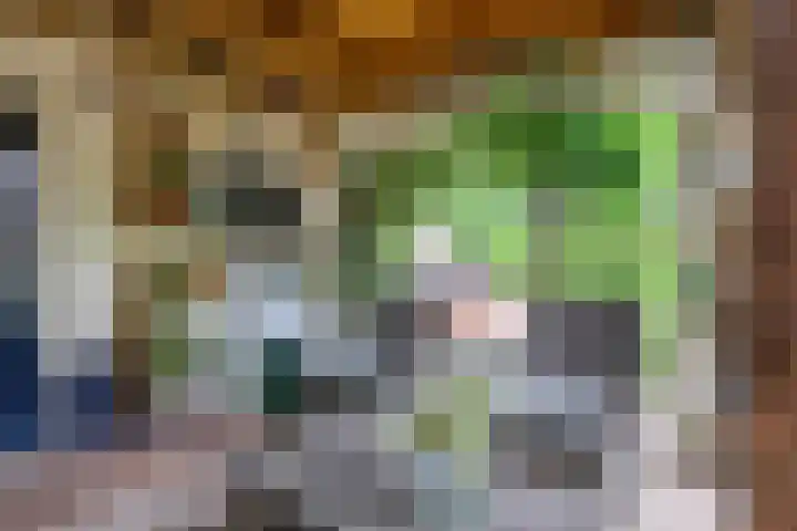 Oude Heijningsedijk 155 Heijningen thumbnail 32