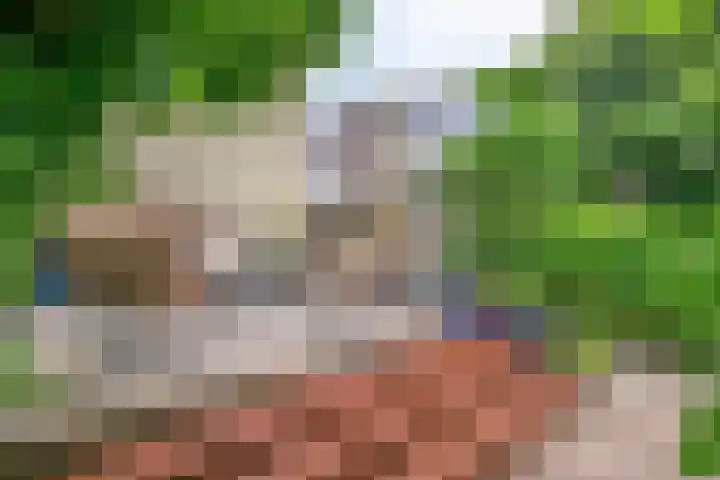 Oude Heijningsedijk 155 Heijningen thumbnail 33
