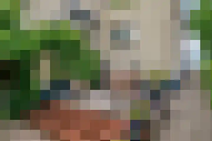 Oude Heijningsedijk 155 Heijningen thumbnail 34