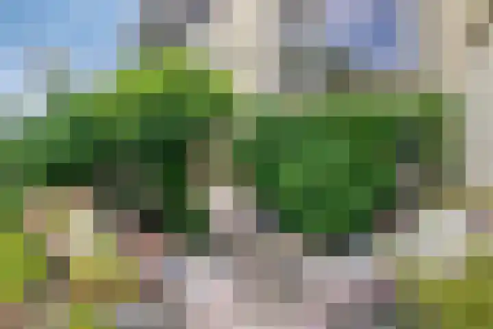 Oude Heijningsedijk 155 Heijningen thumbnail 35