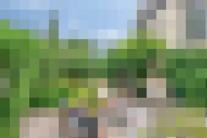 Oude Heijningsedijk 155 Heijningen thumbnail 36