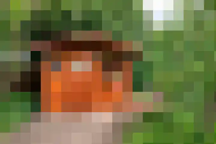 Oude Heijningsedijk 155 Heijningen thumbnail 37