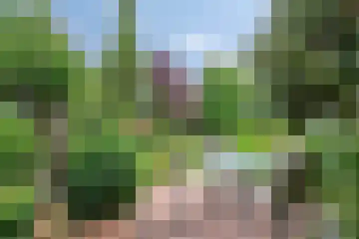 Oude Heijningsedijk 155 Heijningen thumbnail 38