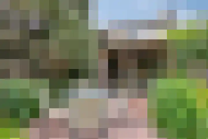 Oude Heijningsedijk 155 Heijningen thumbnail 39
