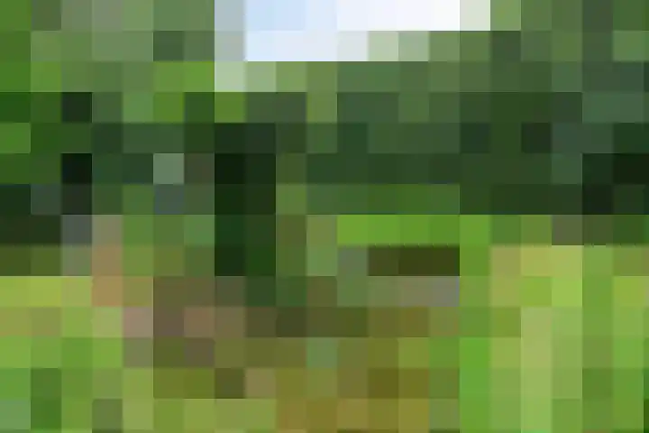 Oude Heijningsedijk 155 Heijningen thumbnail 41