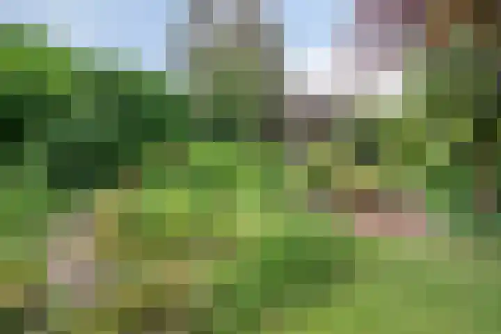 Oude Heijningsedijk 155 Heijningen thumbnail 42