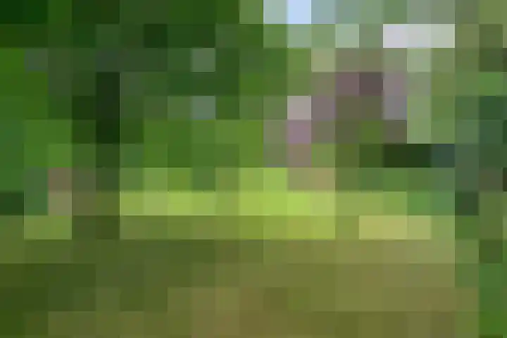 Oude Heijningsedijk 155 Heijningen thumbnail 43