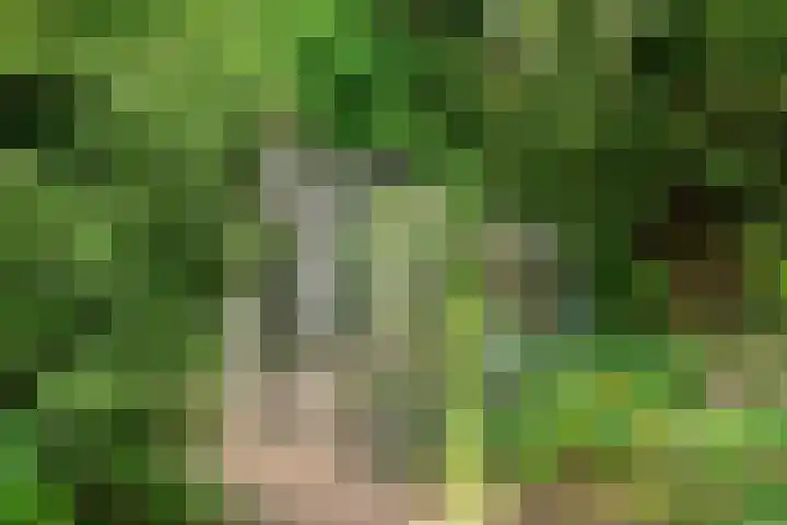 Oude Heijningsedijk 155 Heijningen thumbnail 44