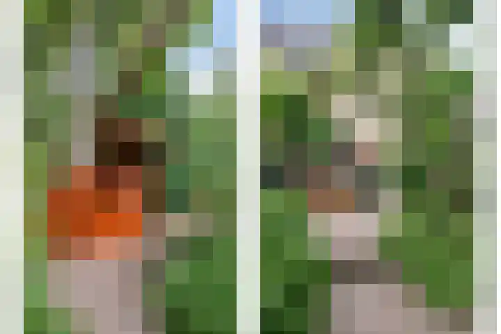 Oude Heijningsedijk 155 Heijningen thumbnail 45