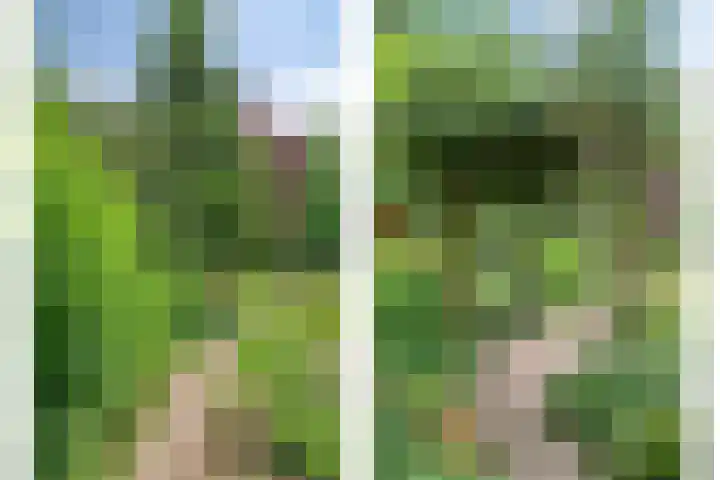 Oude Heijningsedijk 155 Heijningen thumbnail 46