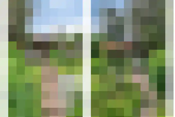 Oude Heijningsedijk 155 Heijningen thumbnail 47