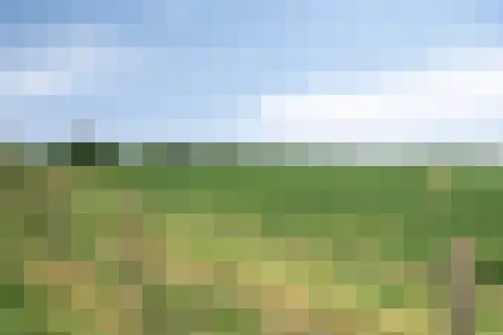 Oude Heijningsedijk 155 Heijningen thumbnail 56