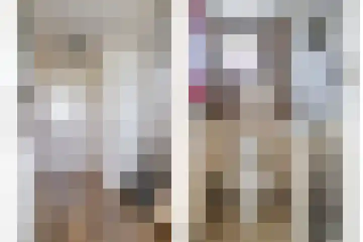 Oude Heijningsedijk 155 Heijningen thumbnail 6