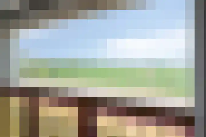 Oude Heijningsedijk 155 Heijningen thumbnail 8