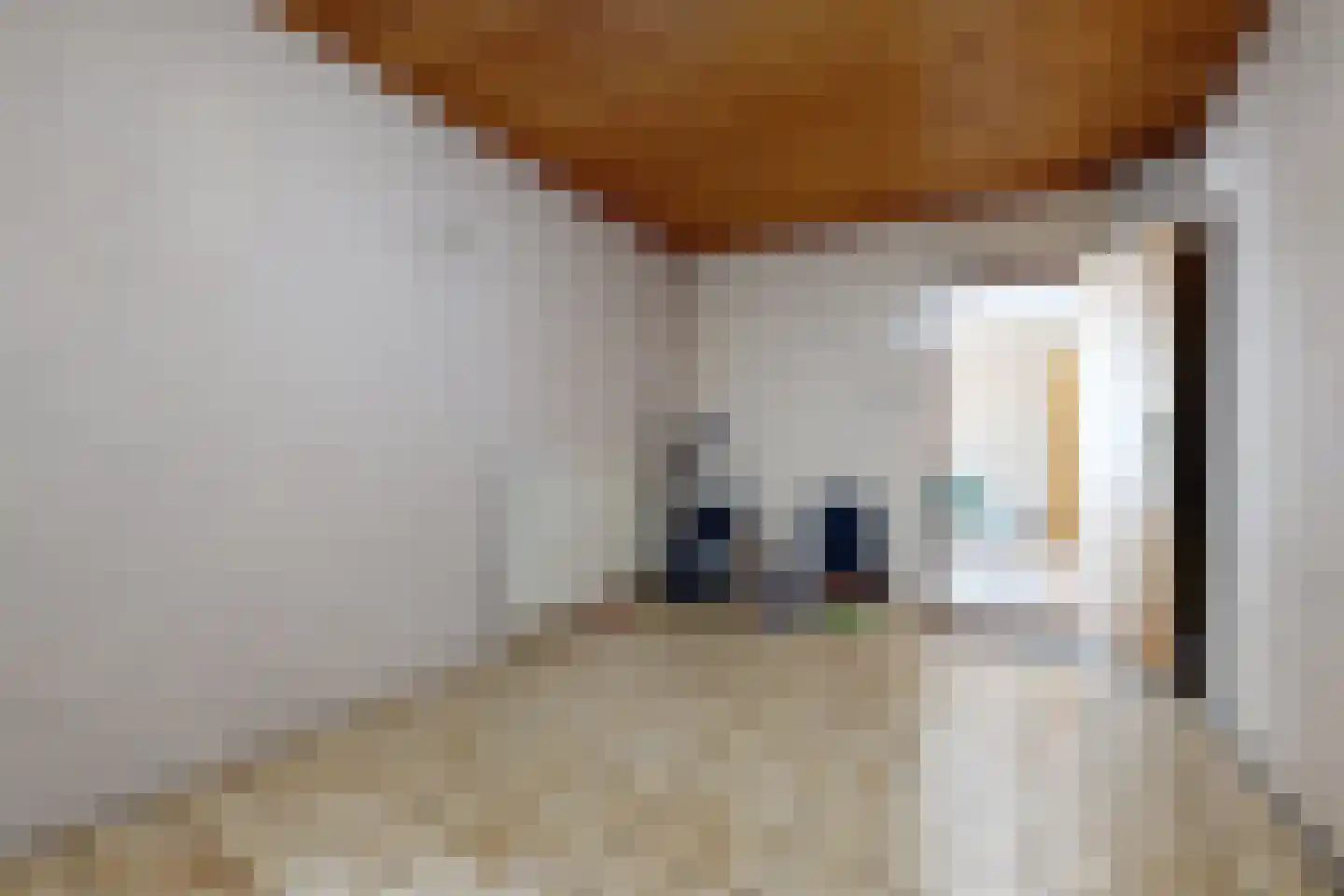 Oude Heijningsedijk 16 Heijningen thumbnail 10