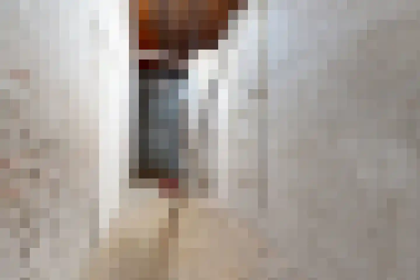Oude Heijningsedijk 16 Heijningen thumbnail 13
